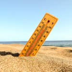 A selective focus shot of a thermometer in the beach sand with a blurred background